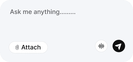 Ask me anything prompt input